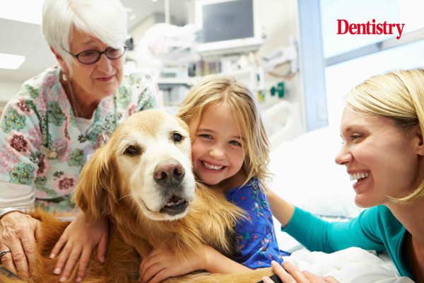 Animal-assisted therapy is a good way to calm down children who have a phobia of going to the dentist