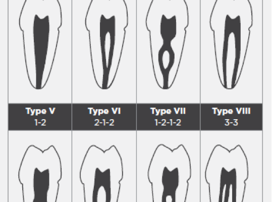 table - Dentistry.co.uk