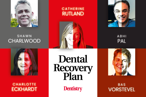The profession responds to the dental recovery plan