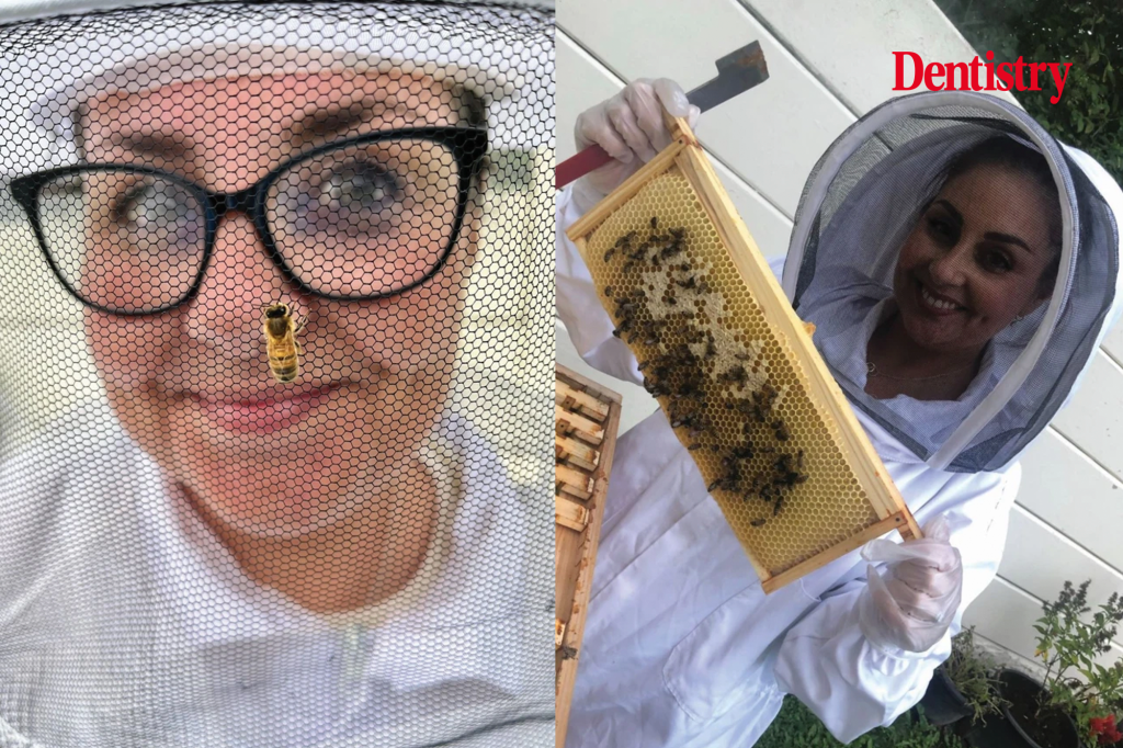 'How I manage eight dental surgeries and 50,000 bees '