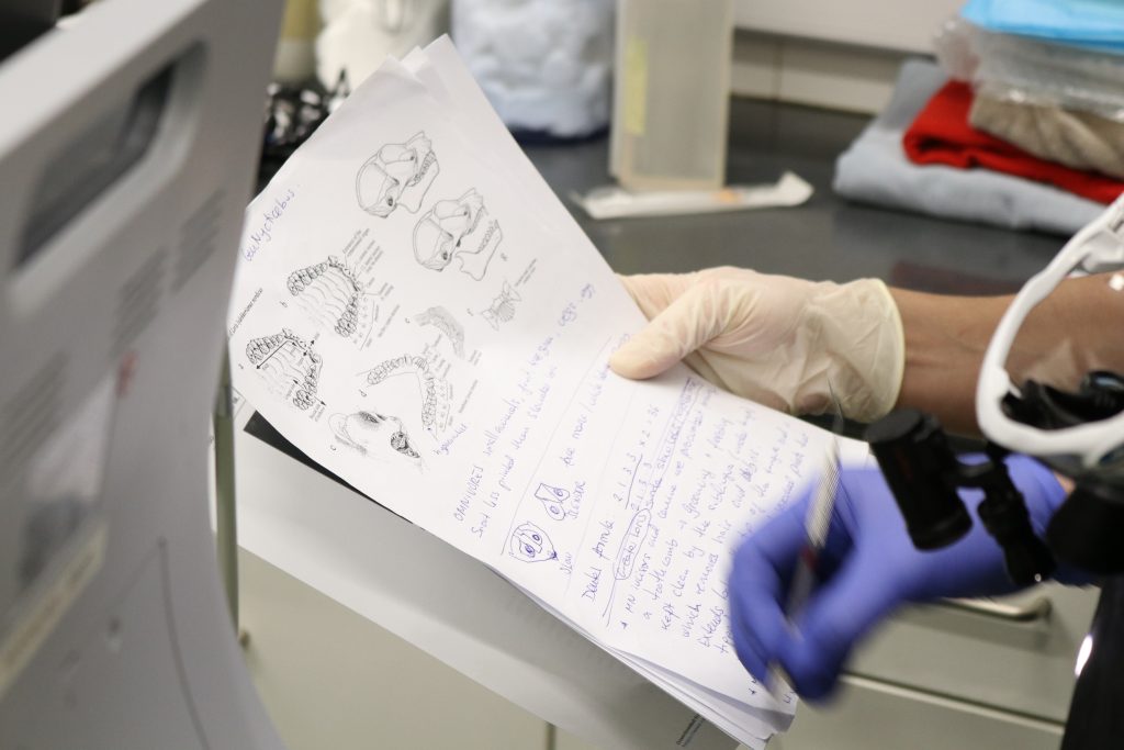 Senior veterinary officer Taina Strike shares how London Zoo cares for the oral health of its animals and the most common dental issues she encounters.