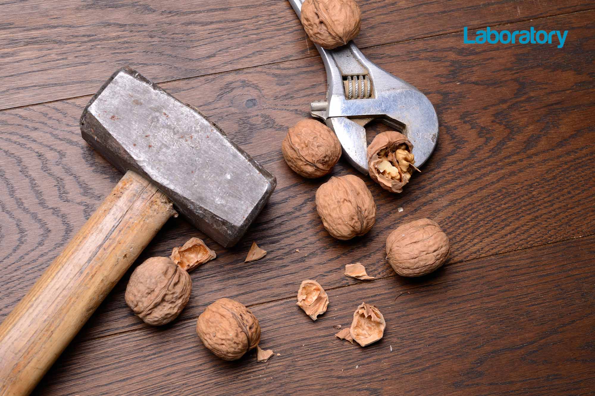 GDC uses a ‘sledgehammer to crack a nut’ on technicians