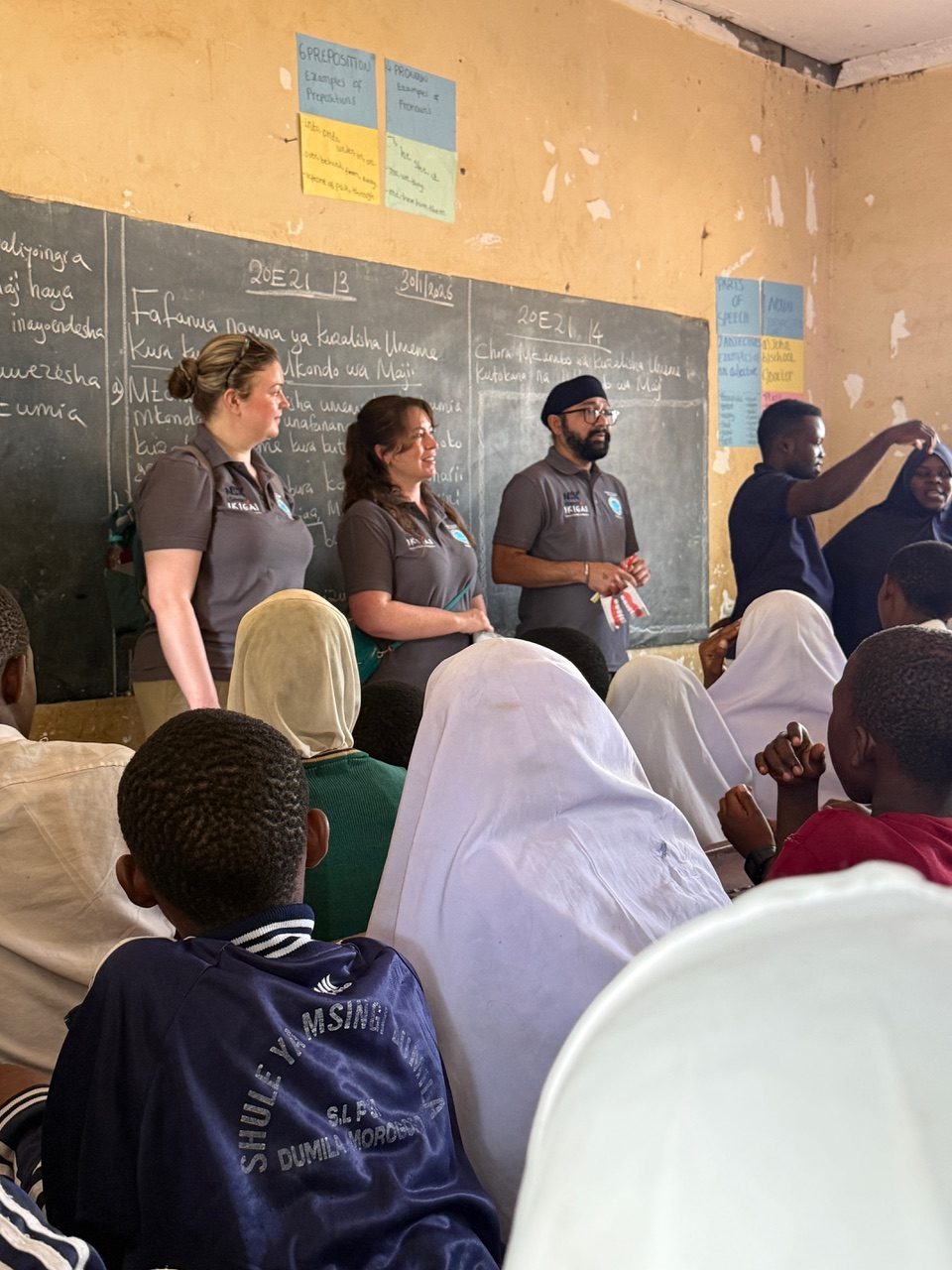 How is dental therapy utilised differently around the world?