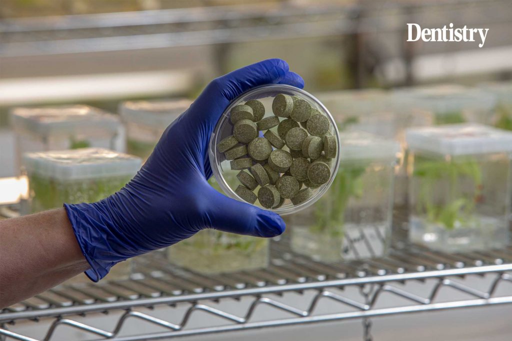 Bioengineered chewing gum could help fight oral cancer 
