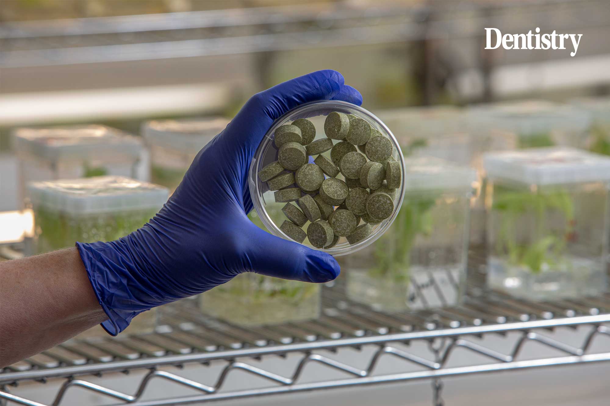 Bioengineered chewing gum could help fight head and neck cancer