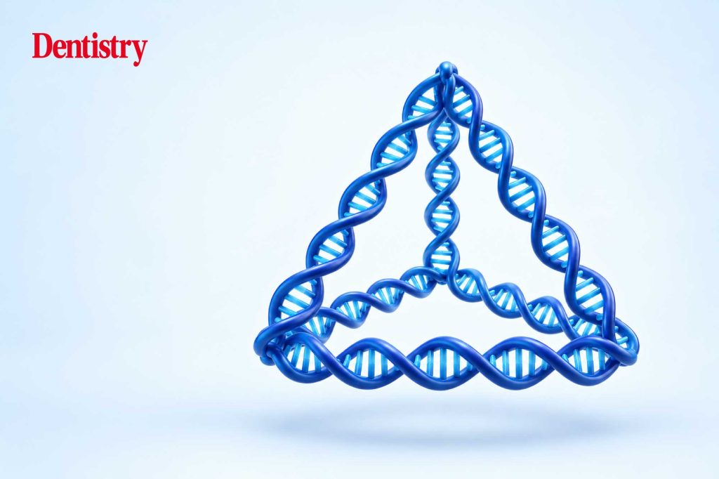 Could tiny DNA cages assist with oral tissue regeneration?