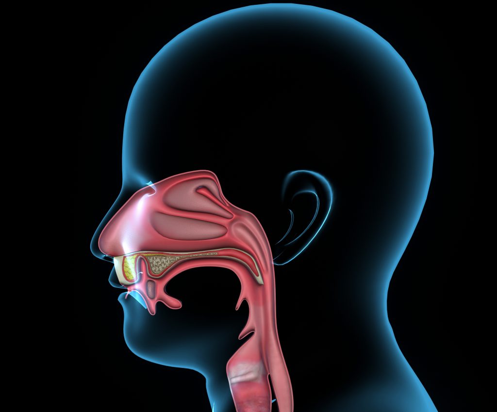 Understanding mouth cancer - Dentistry.co.uk