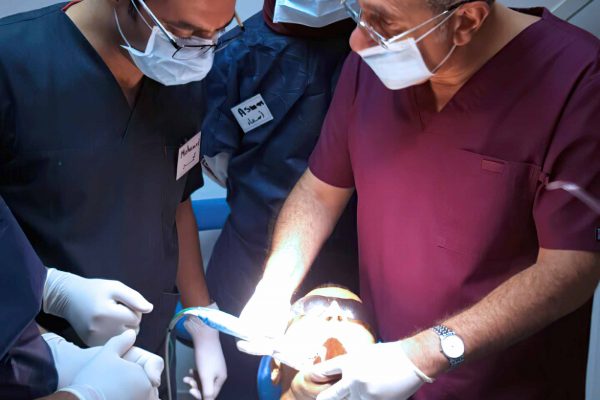 Delegates on the introduction to dental implants course