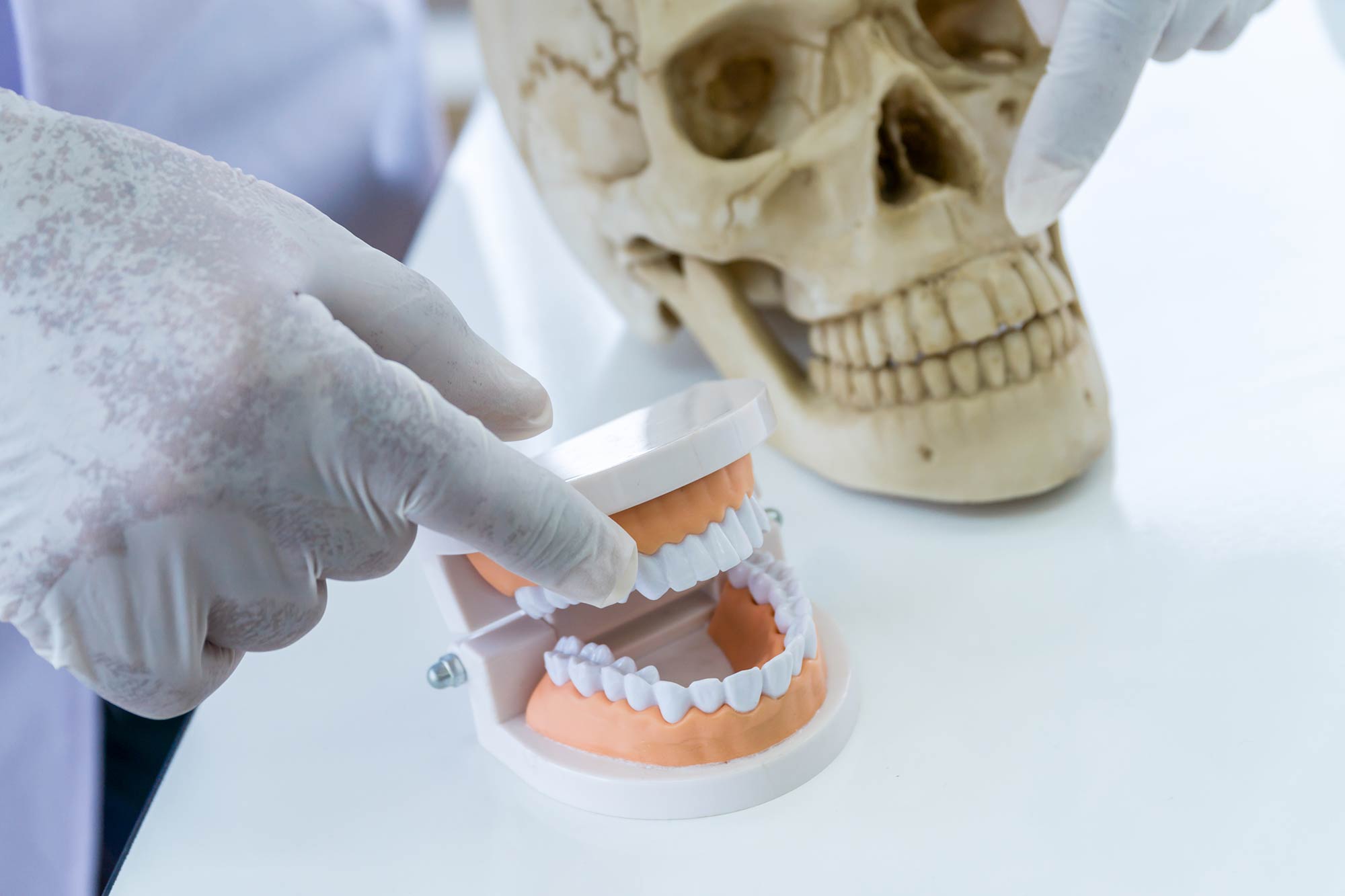 Working in forensic dentistry – experiences from a dental nurse – Dentistry  Online