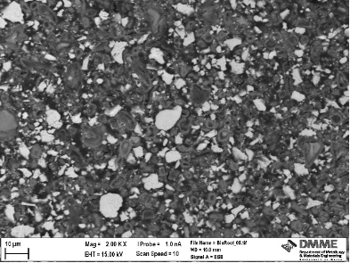 Josette Camilleri discusses the composition and properties of the use of Bioroot RCS as a root canal sealer.