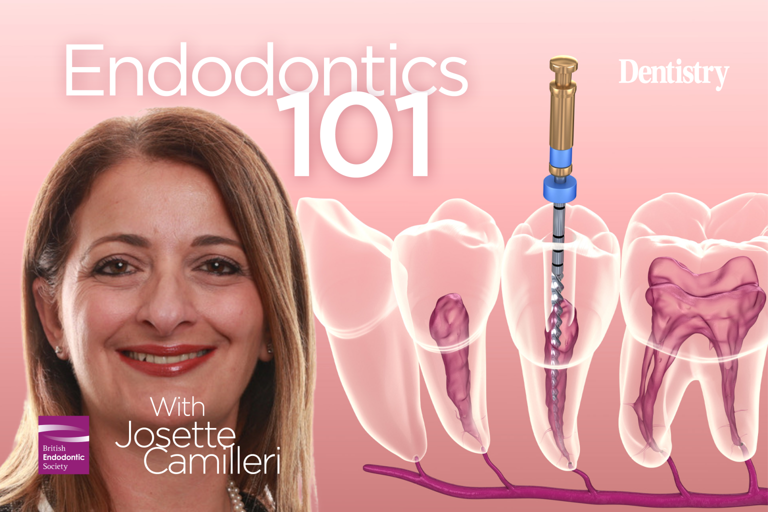 Endodontics 101 Hydraulic cements Dentistry