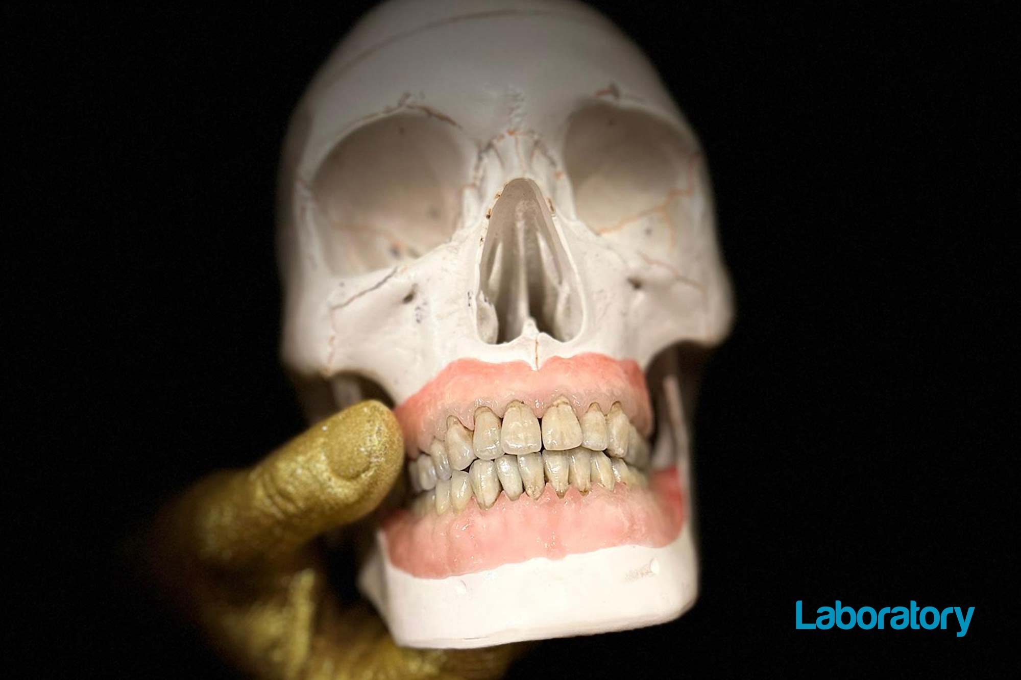Stephen Vincent discusses his journey into dental technology, his plans to open a new laboratory, and his latest project involving reconstructing the dentition of a human skull.